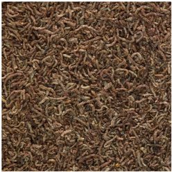 Tetra BloodWorms Freeze-Dried Fish Food, 0.25-oz jar slide 2 of 7