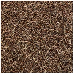 Tetra BloodWorms Freeze-Dried Fish Food, 0.25-oz jar