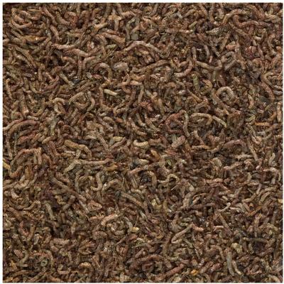 Show full view: Tetra BloodWorms Freeze-Dried Fish Food, 0.25-oz jar slide 4 of 8
