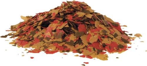 Show full view: Tetra Color Tropical Flakes Fish Food, 7.06-oz jar, bundle of 2 slide 3 of 8