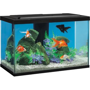 Tetra Complete Goldfish Aquarium Kit with White & Red LED Lighting, 20-gal