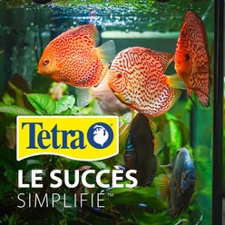 Tetra Complete Goldfish Aquarium Kit with White & Red LED Lighting, 20-gal slide 2 of 9
