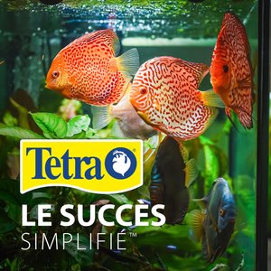 Tetra Complete Goldfish Aquarium Kit with White & Red LED Lighting, 20-gal