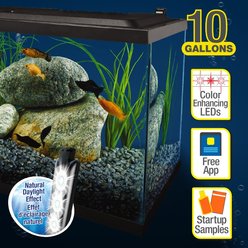 Tetra Complete Tropical Fish Aquarium Kit with LED Lighting, 10-gal slide 2 of 9