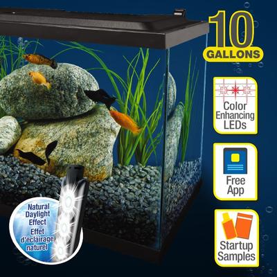 Show full view: Tetra Complete Tropical Fish Aquarium Kit with LED Lighting, 10-gal slide 8 of 9
