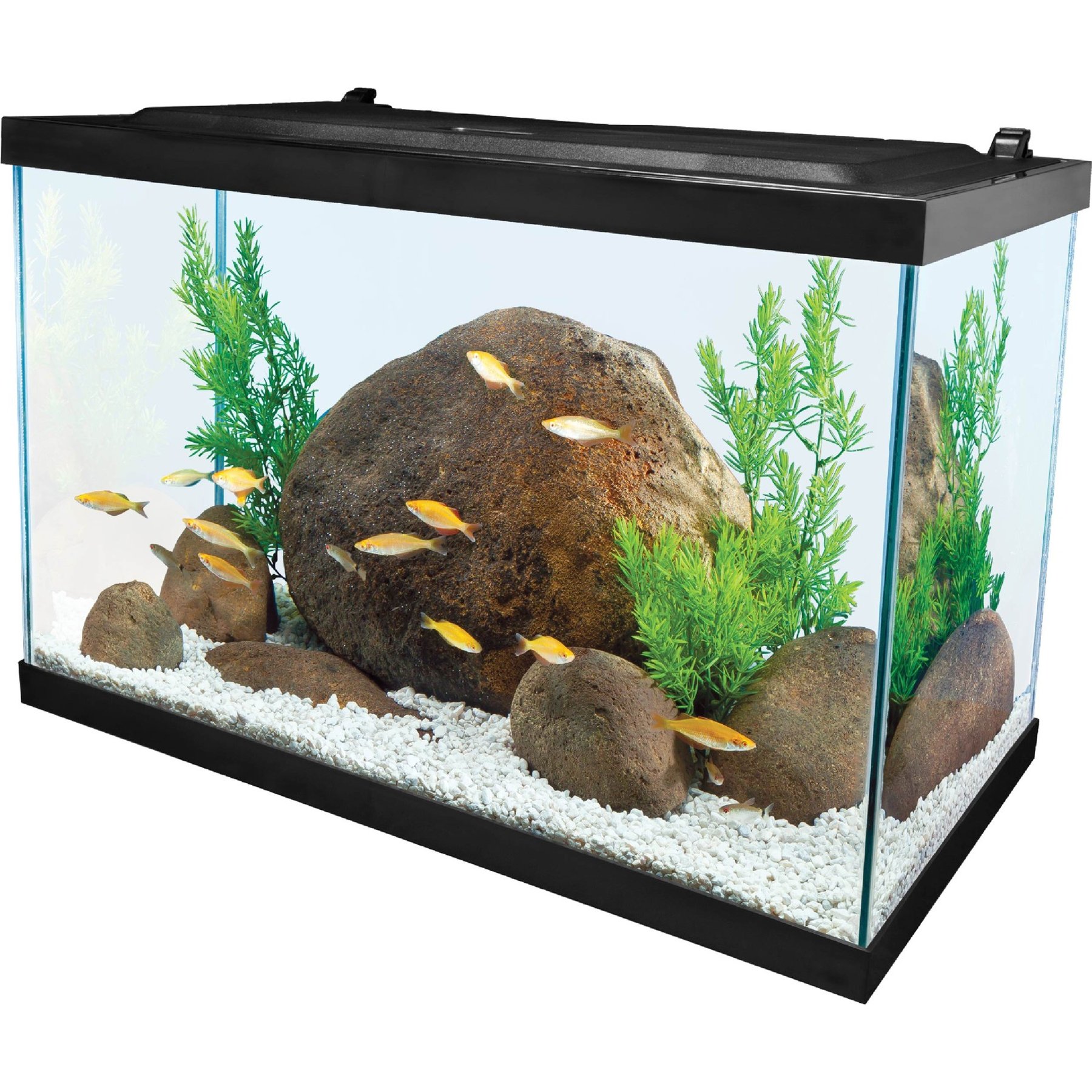 Tetra Complete Tropical Fish Aquarium Kit with LED Lighting, 20-gal