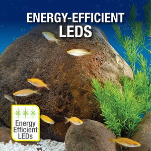 Tetra Complete Tropical Fish Aquarium Kit with LED Lighting, 20-gal