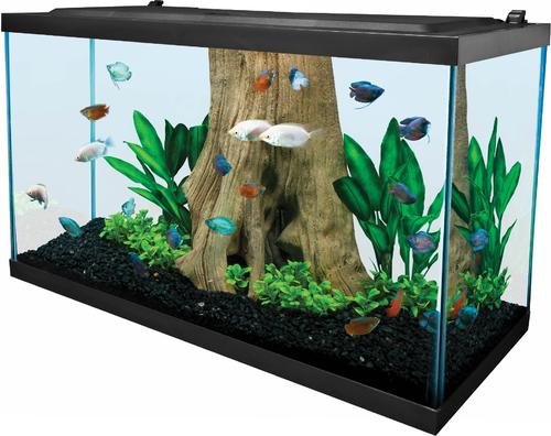 Show full view: Tetra Complete Tropical Fish Aquarium Kit with LED Lighting, 29-gal slide 3 of 9