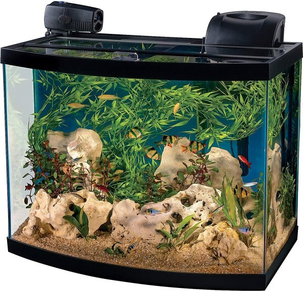 Tetra Connect Curved Aquarium Kit with WiFi Feeder, 28-gal