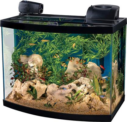 Show full view: Tetra Connect Curved Aquarium Kit with WiFi Feeder, 28-gal slide 2 of 8