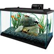 Show in main carousel: Tetra Glass Aquarium, 10-gal slide 1 of 6