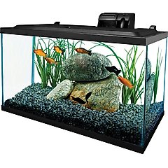 Tetra Glass Aquarium, 10-gal