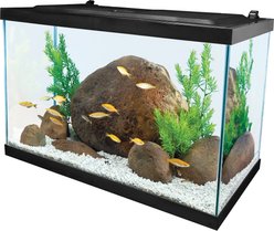 Tetra Glass Aquarium, 20-gal