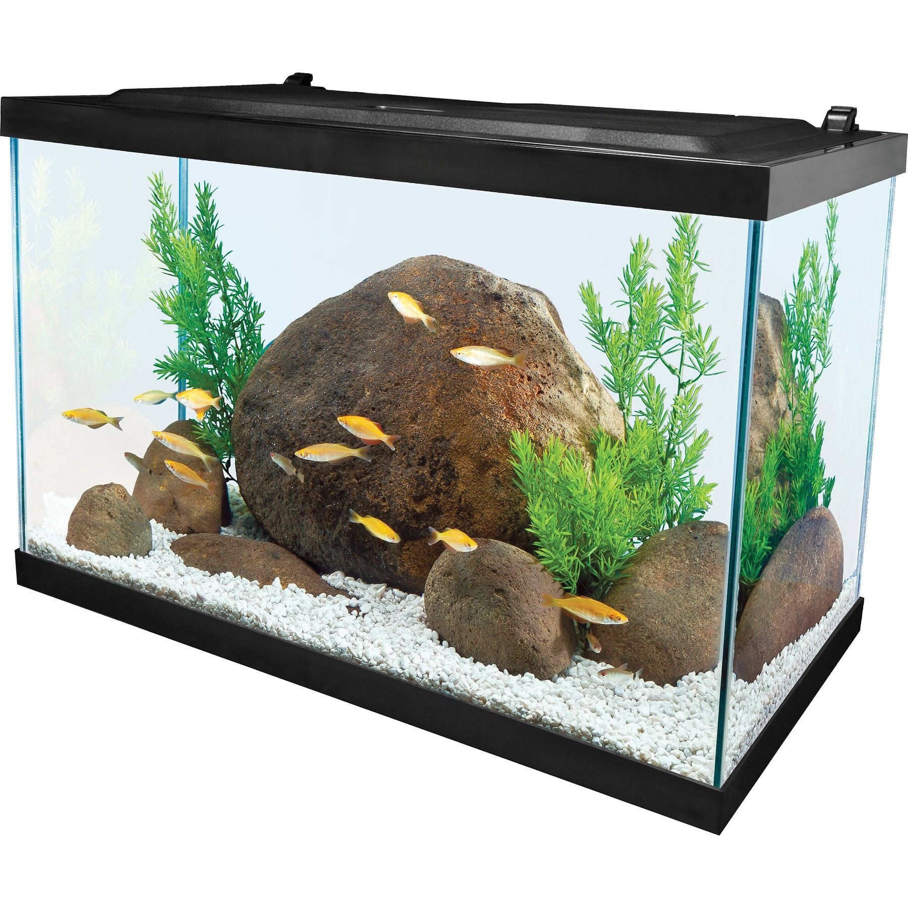 Out of Stock - TETRA Glass Aquarium, 20-gal - Chewy.com