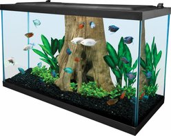 Tetra Glass Aquarium, 29-gal