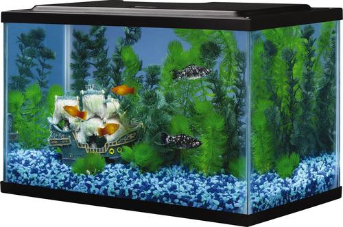 TETRA Glass Aquarium, 5.5-gal - Chewy.com