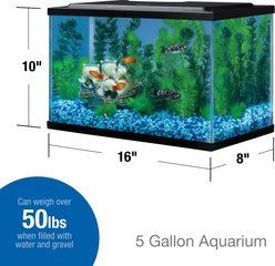 Tetra Glass Aquarium, 5.5-gal slide 2 of 3