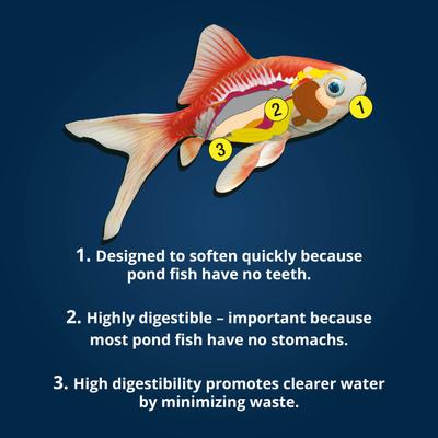 Show full view: Tetra Pond Koi Growth High Protein Koi & Goldfish Food, 4.85-lb bag slide 8 of 10