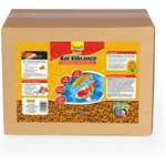 Best Fish Foods