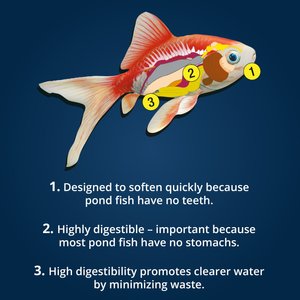 Tetra Pond Koi Vibrance Color Enhancing Sticks Koi & Goldfish Food, 16.5-lb box