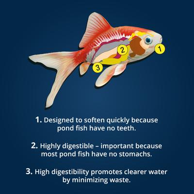 Show full view: Tetra Pond Koi Vibrance Color Enhancing Sticks Koi & Goldfish Food, 16.5-lb box slide 6 of 9