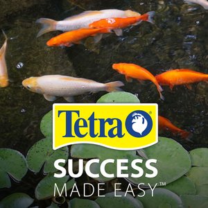 Tetra Pond Koi Vibrance Color Enhancing Sticks Koi & Goldfish Food, 16.5-lb box