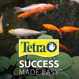 Tetra Pond Koi Vibrance Color Enhancing Sticks Koi & Goldfish Food, 16.5-lb box