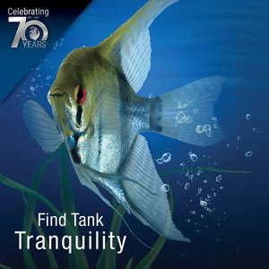 Tetra Pond Submersible Flat Box Filter