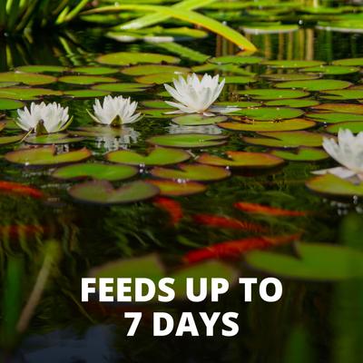 Show full view: Tetra Pond Vacation Food Slow Release Feeder Block Fish Food, 3.45-oz jar slide 5 of 10