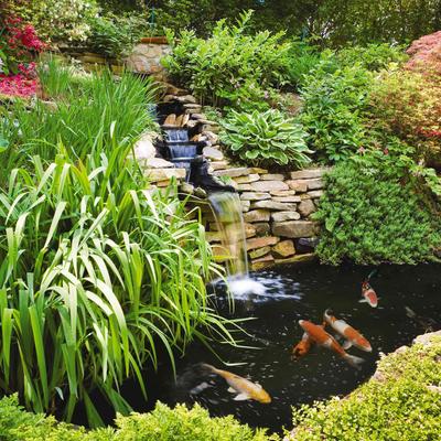 Show full view: Tetra Pond & Water Garden Fountain Pump, 75-gal slide 3 of 8