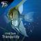 Show in main carousel: Tetra PRO PlecoWafers Complete Diet for Algae Eaters Fish Food, 5.29-oz bag slide 5 of 5