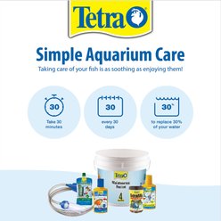 Tetra ReptoMin Baby Floating Sticks Turtle & Amphibian Food, 0.92-oz jar slide 2 of 6