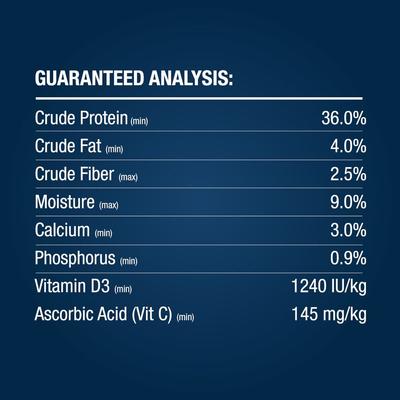 Show full view: Tetra ReptoMin Jumbo Floating Aquatic Turtles Food Sticks, 8.47-oz jar slide 4 of 9