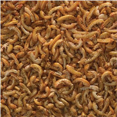 Show full view: Tetra TetraMin 3-in-1 Crisps Select-A-Food Variety Pack Flakes Fish Food, 2.4-oz bottle slide 5 of 9