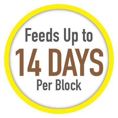 Show full view: Tetra Vacation Tropical Slow Release Fish Feeder Food, 14-days slide 5 of 11