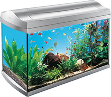 Show full view: Tetra Whisper Air Pump for Deep Water Aquariums, Size 150 slide 5 of 10