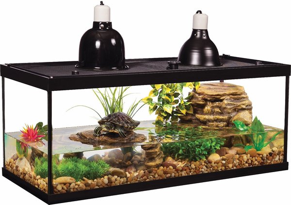 TETRAFAUNA Aquatic Turtle Deluxe Aquarium Kit, 20-gal