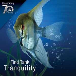 Tetrafauna Aquatic Turtle Deluxe Aquarium Kit, 20-gal