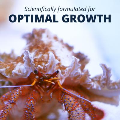 Show full view: Tetrafauna Hermit Crab Cakes Pellet Land Crab Food, 1.58-oz jar slide 7 of 10