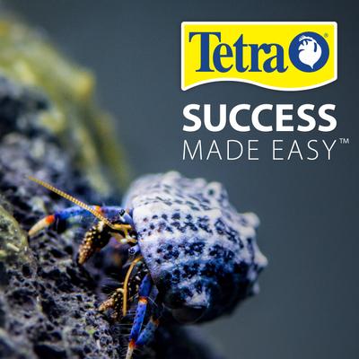 Show full view: Tetrafauna Hermit Crab Cakes Pellet Land Crab Food, 1.58-oz jar slide 8 of 10