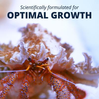 Show full view: Tetrafauna Hermit Crab Meal Land Crab Food, 4.94-oz jar slide 7 of 8