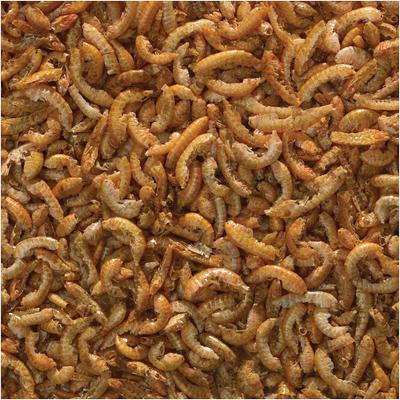 Show full view: TetraMin 3 In 1 Flakes, Treats & Granules Fish Food, 2.4-oz jar slide 3 of 7