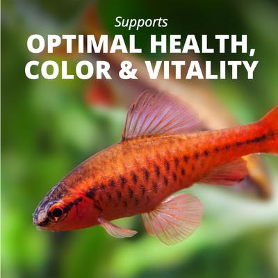 Show full view: TetraMin Tropical Flakes Fish Food, 7.06-oz jar slide 7 of 10