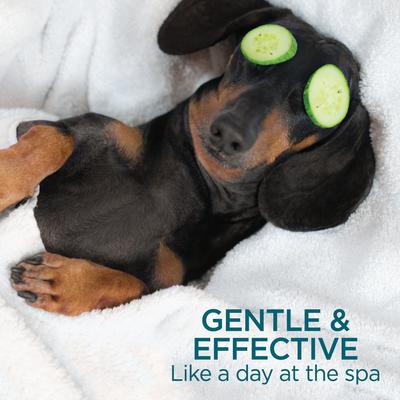 Show full view: TevraPet Activate II Flea & Tick Dog Shampoo, 12-fl oz bottle slide 6 of 7