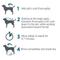 Show in main carousel: TevraPet Activate II Flea & Tick Dog Shampoo, 12-fl oz bottle slide 7 of 7