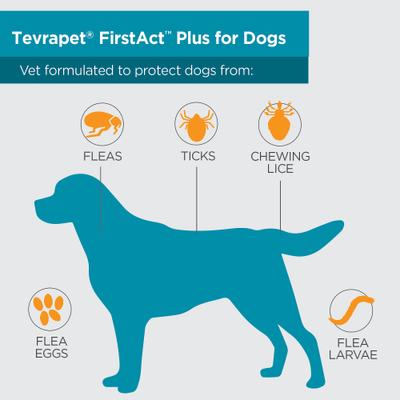 Show full view: TevraPet FirstAct Plus Flea & Tick Spot Treatment for Dogs, 23 - 44lbs, 6 Doses (6 mos. supply) slide 3 of 8