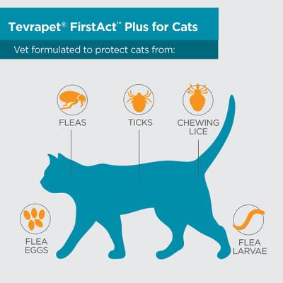 Show full view: TevraPet FirstAct Plus Flea & Tick Treatment for Cats Over 1.5lbs, 6 doses slide 4 of 8