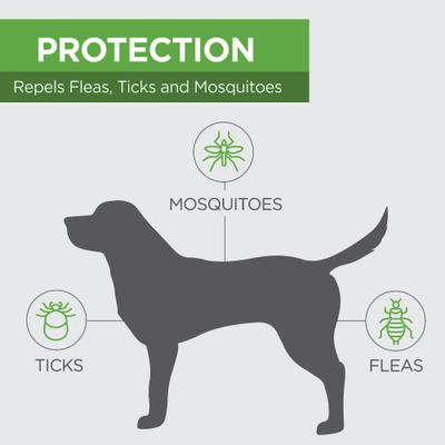 Show full view: TevraPet Naturals Flea & Tick Collar for Dogs, 1 Collar (4-mos. supply) slide 3 of 8