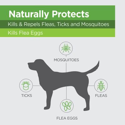 Show full view: TevraPet Naturals Flea & Tick Topicals for Dogs over 40 lbs, 3 doses slide 5 of 6