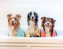 The Absorber MAX Pet Towel, Aqua slide 2 of 2